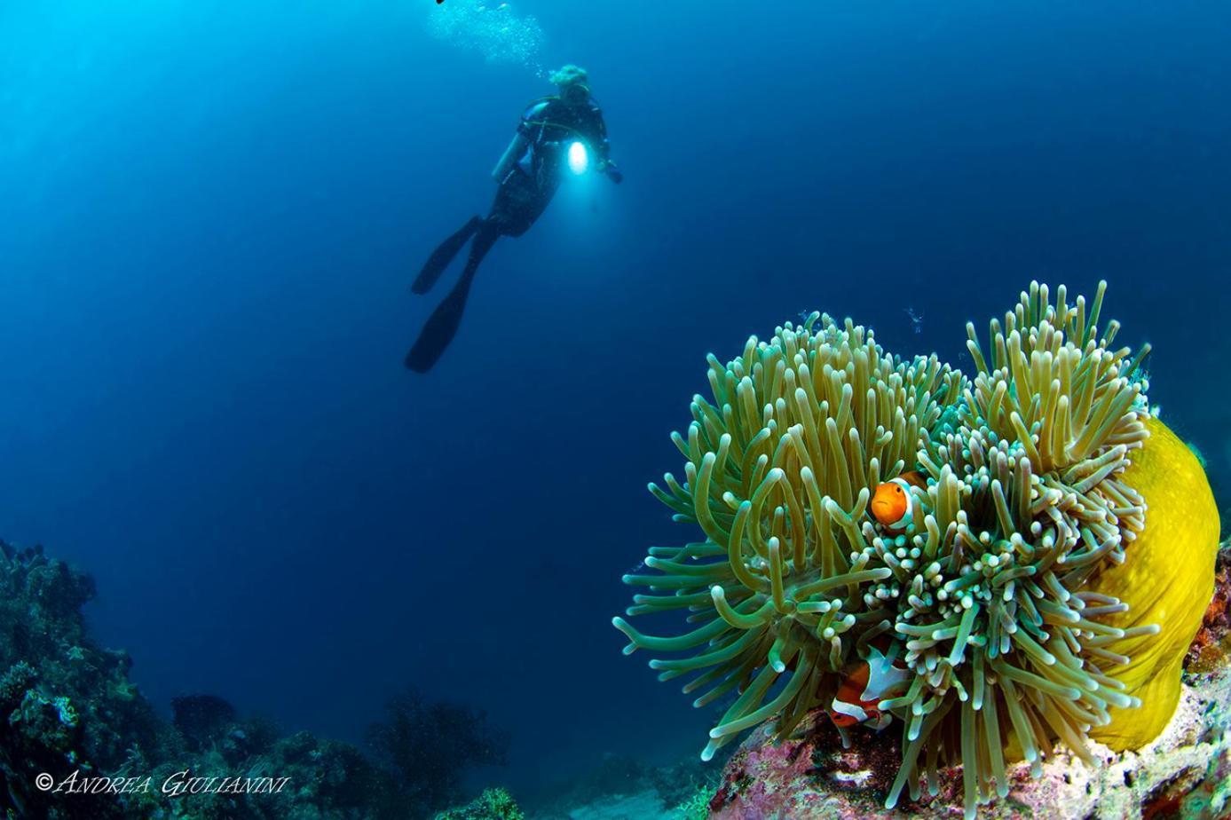 Romblon Sunset Cove Beach & Dive Resort מראה חיצוני תמונה